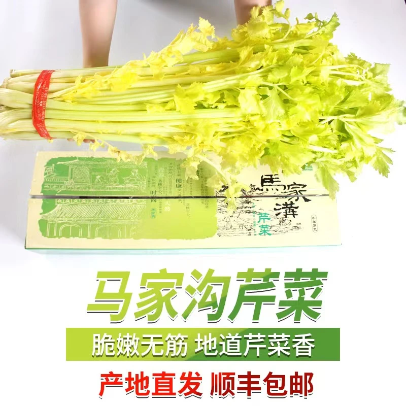 马家沟芹菜基地直发山东特产空心玻璃脆嫩少筋新鲜蔬菜顺丰包邮