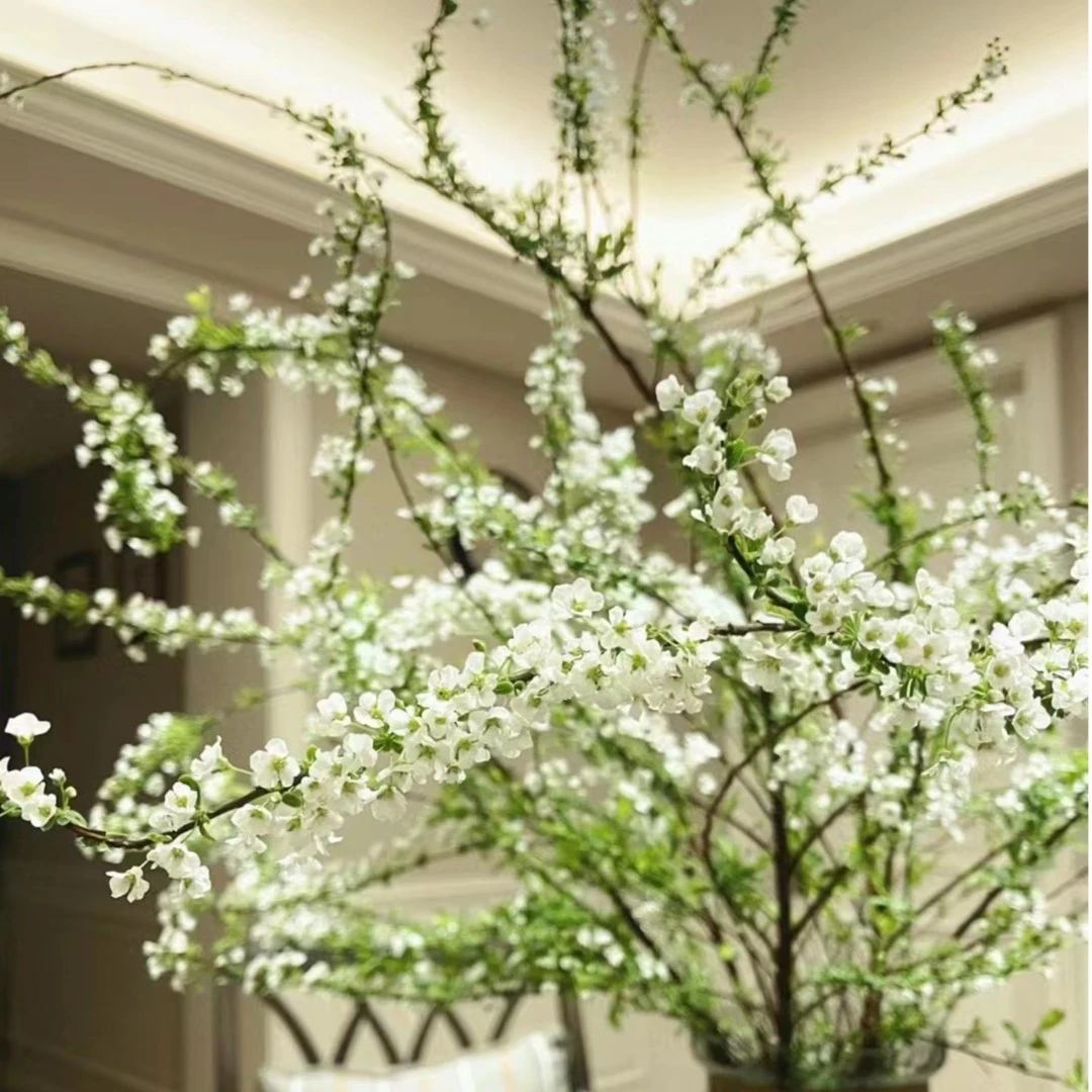 【新疆包邮】好兆头干枝雪柳懒人植物好养
