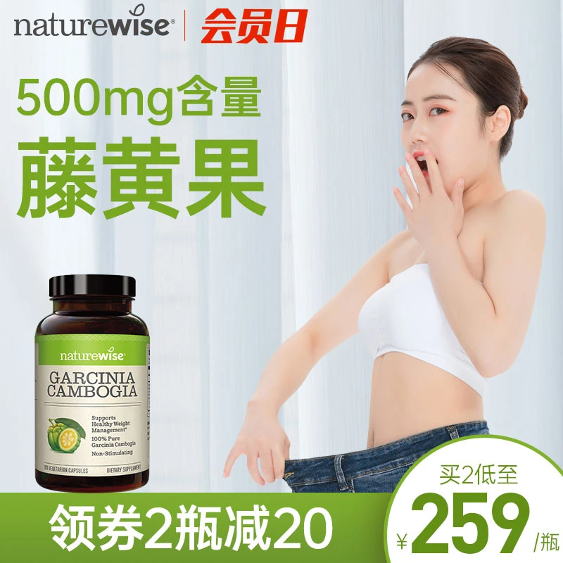 Naturewise藤黄果阻燃剂提取物500mg热控片HCA阻断片