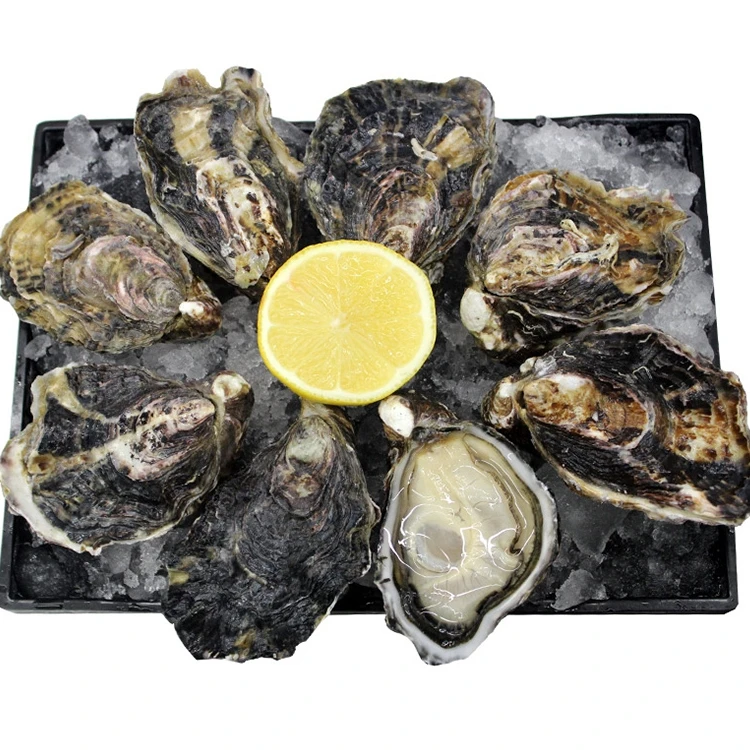 新西兰马尔伯勒 70-90g/只