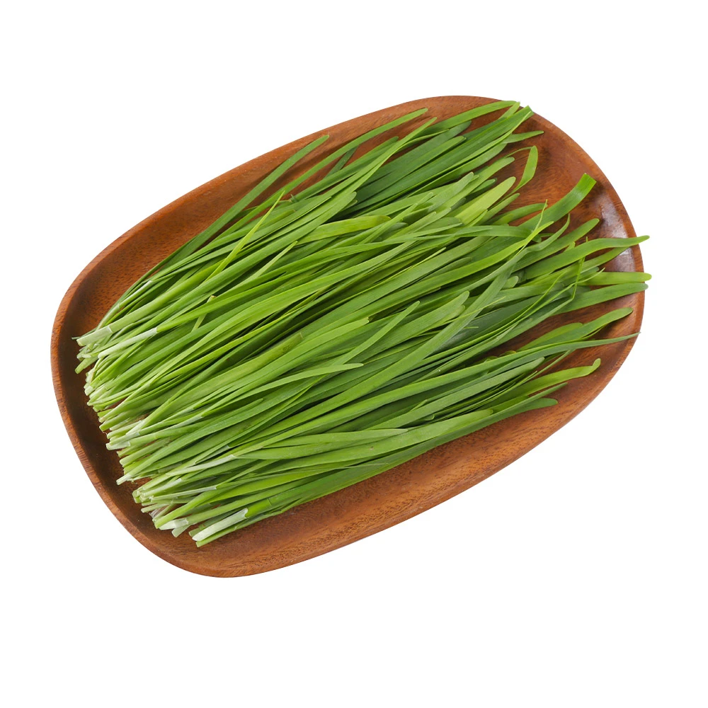 盒马日日鲜 崇明小叶香韭菜 400g