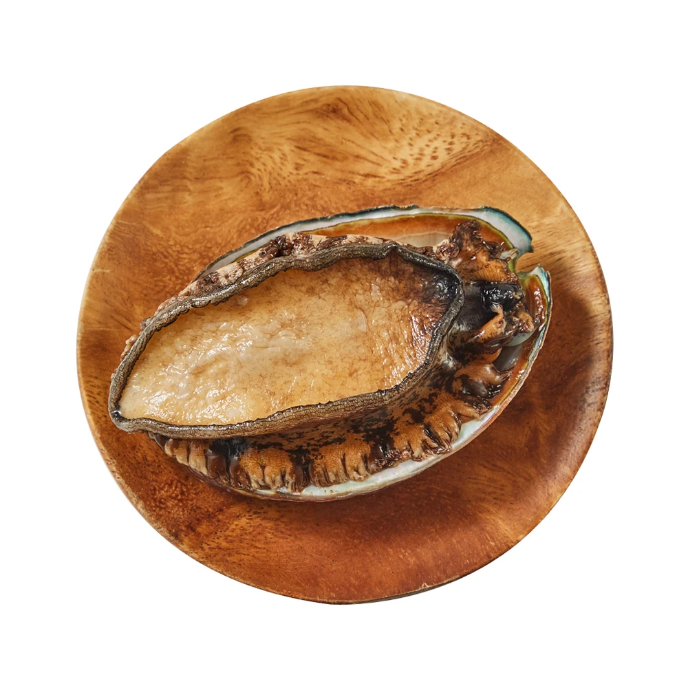 鲜活 鲍鱼 5-6头/500g