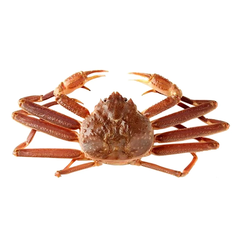 鲜活 雪蟹 600-700g/只