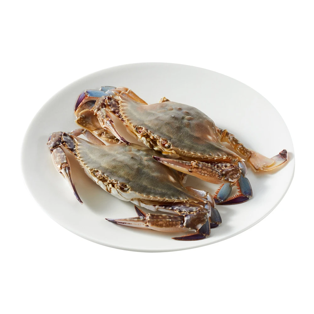 鲜活 不完美梭子蟹 100g以上/只