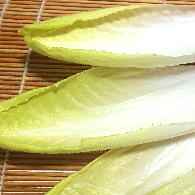 盒马日日鲜 玉兰菜 250g/份