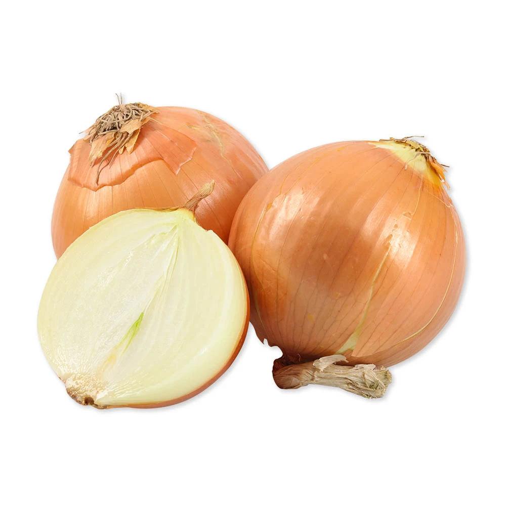 黄皮洋葱 1kg