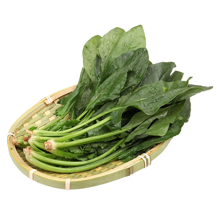 盒马日日鲜 大菠菜 300g