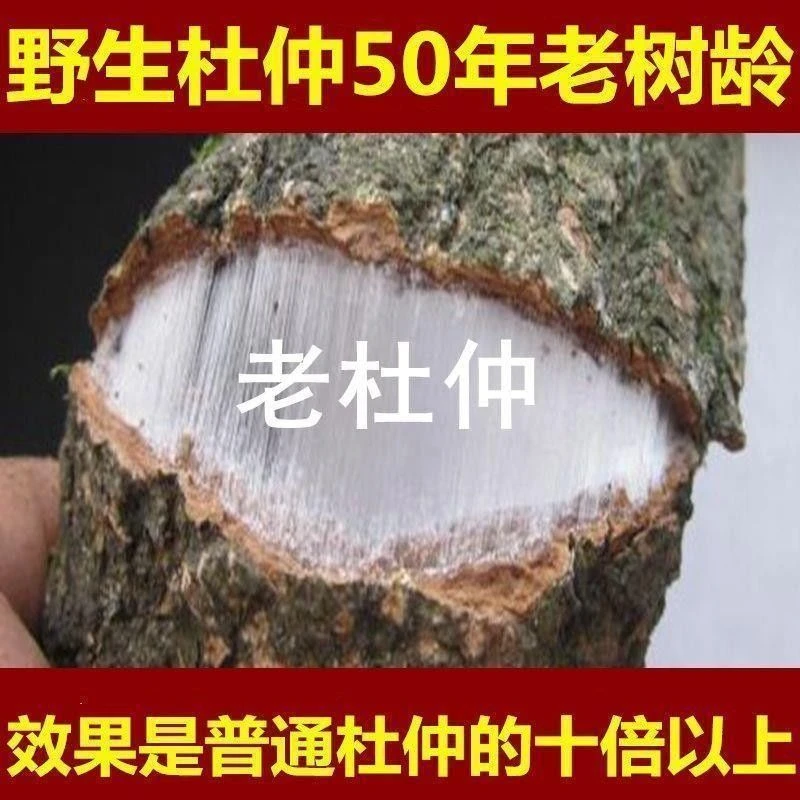 野生百年老树杜仲皮中药材批发正品杜仲茶厚皮泡茶煲汤泡酒补腰阳