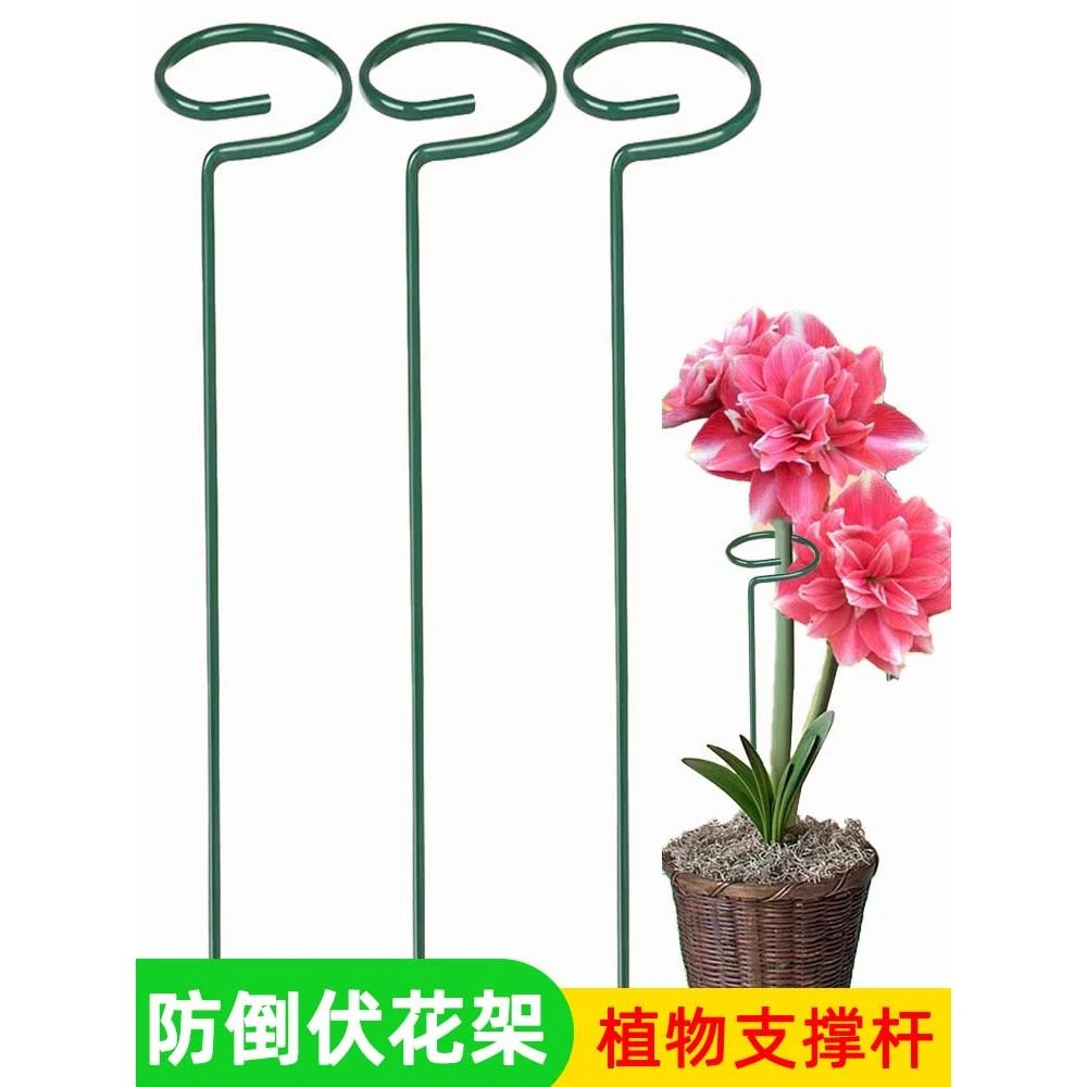 植物防倒伏支架支撑杆铁艺绣球吊兰园艺固定架爬藤花卉朱顶红花架