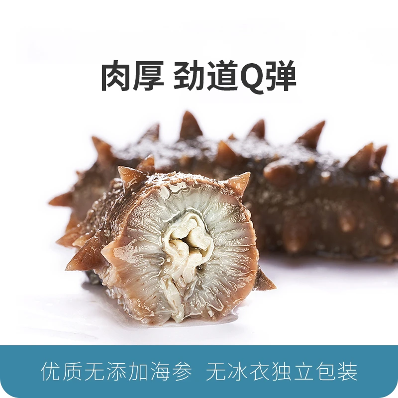 【鲜食高货】9A大海参大连鲜食海参Q弹口感顺丰包邮可试吃半斤
