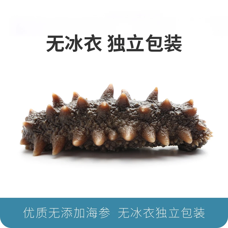 15-17头/ 斤大连即食鲜食海参全熟口Q弹好口感海参独立包装可试吃