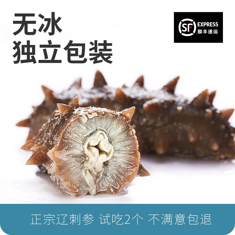 【Q弹劲道处理】鲜食即食海参Q弹口感独立包装可试吃包邮现场装