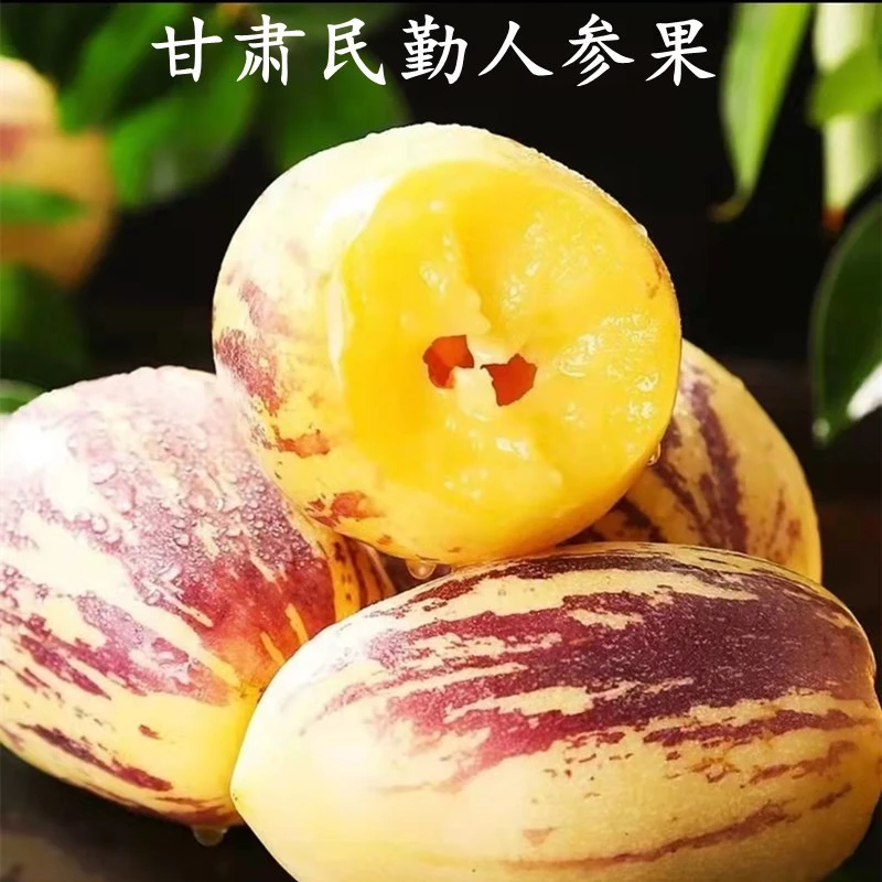 《中通包邮》甘肃民勤人参果现摘皮薄新鲜水果黄肉包邮5/8斤