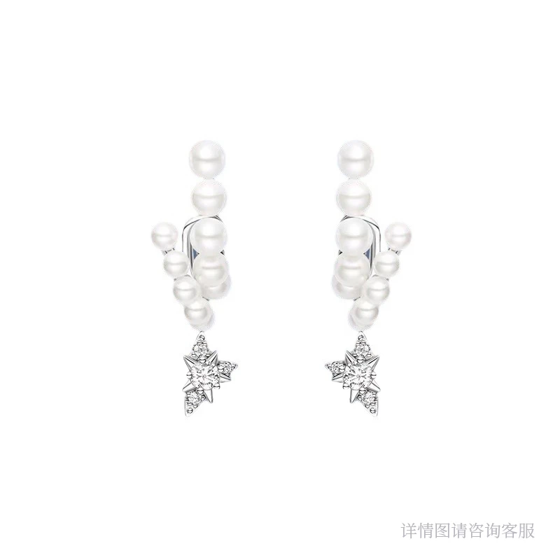 欧货DP高品耳环-1264