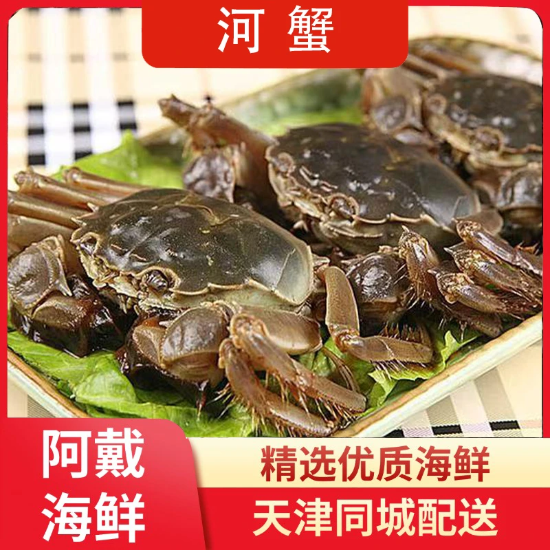 【河蟹】天津河蟹 到家保活（单只2两左右）同城当日达
