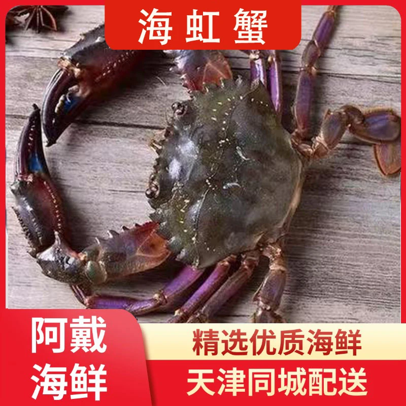【保鲜不保活】海捕 海虹蟹大红爪  每只3-5两 2-10斤 断氧残蟹