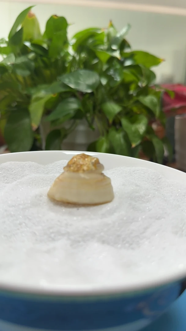 沙漠漆、戈壁石专场