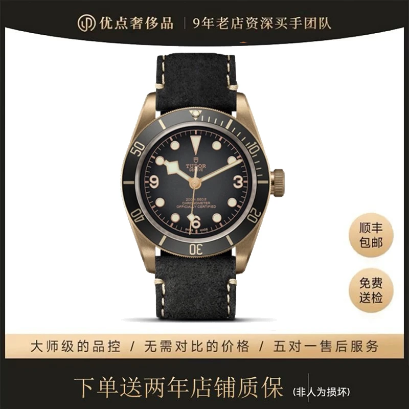 99新 TUDOR/帝舵 二手男表/碧湾青铜/M79250BA-0001/43mm/石板灰