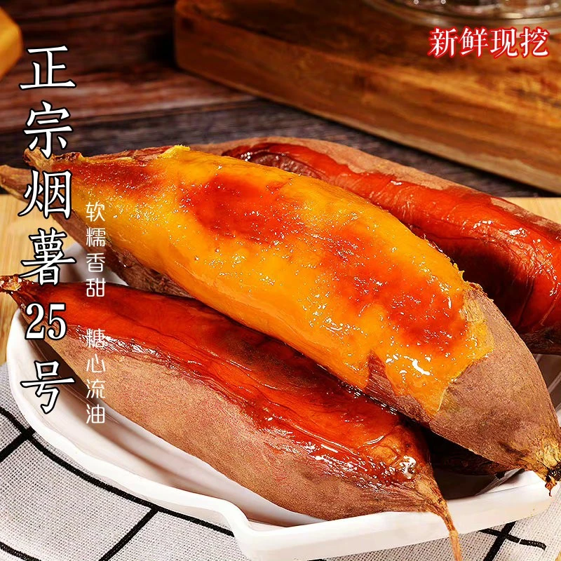 小果【农科院烟薯25号】现挖沙地蜜薯烤地瓜糖心流油番薯烟台种植