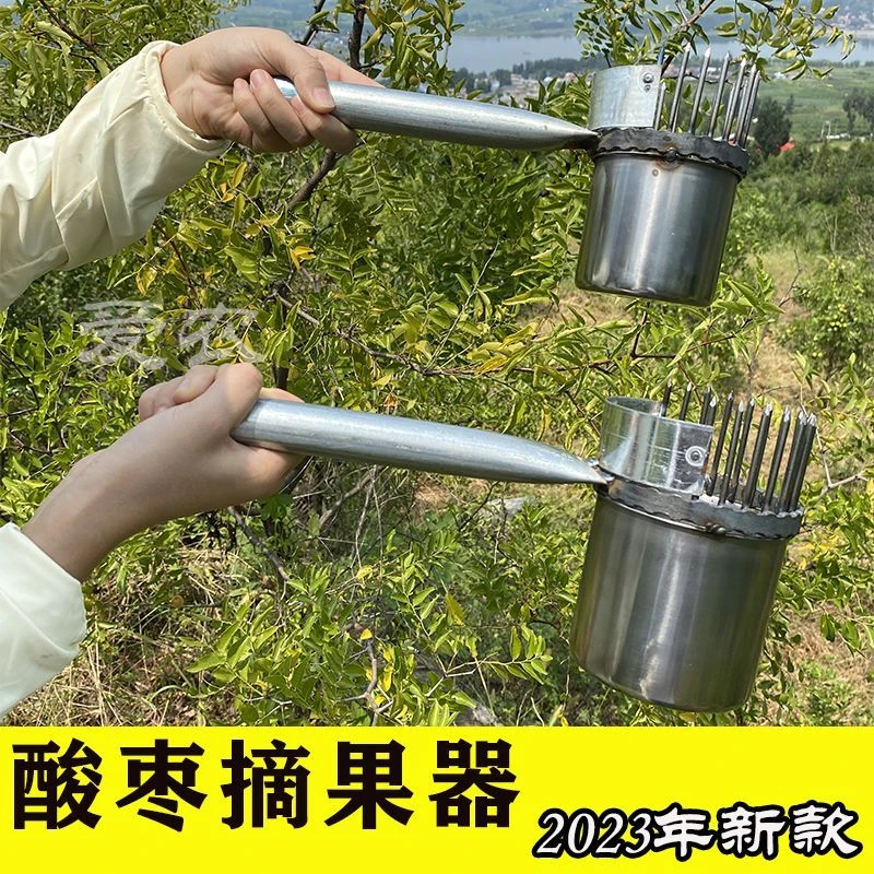 加厚2024新款酸枣不锈钢摘果器采果山枣柏树神器小枣工具扎手大号