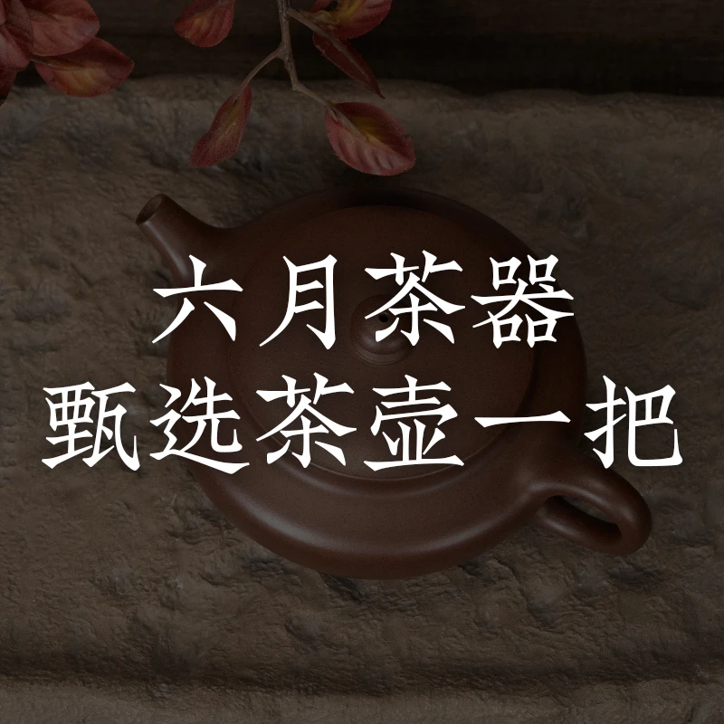 六月茶器甄选茶壶一把