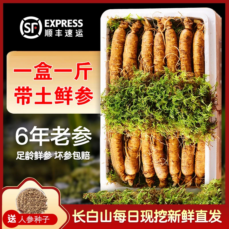 【顺丰空运】长白山原产地新鲜人参-现挖500g煲汤泡酒坏参包赔营养
