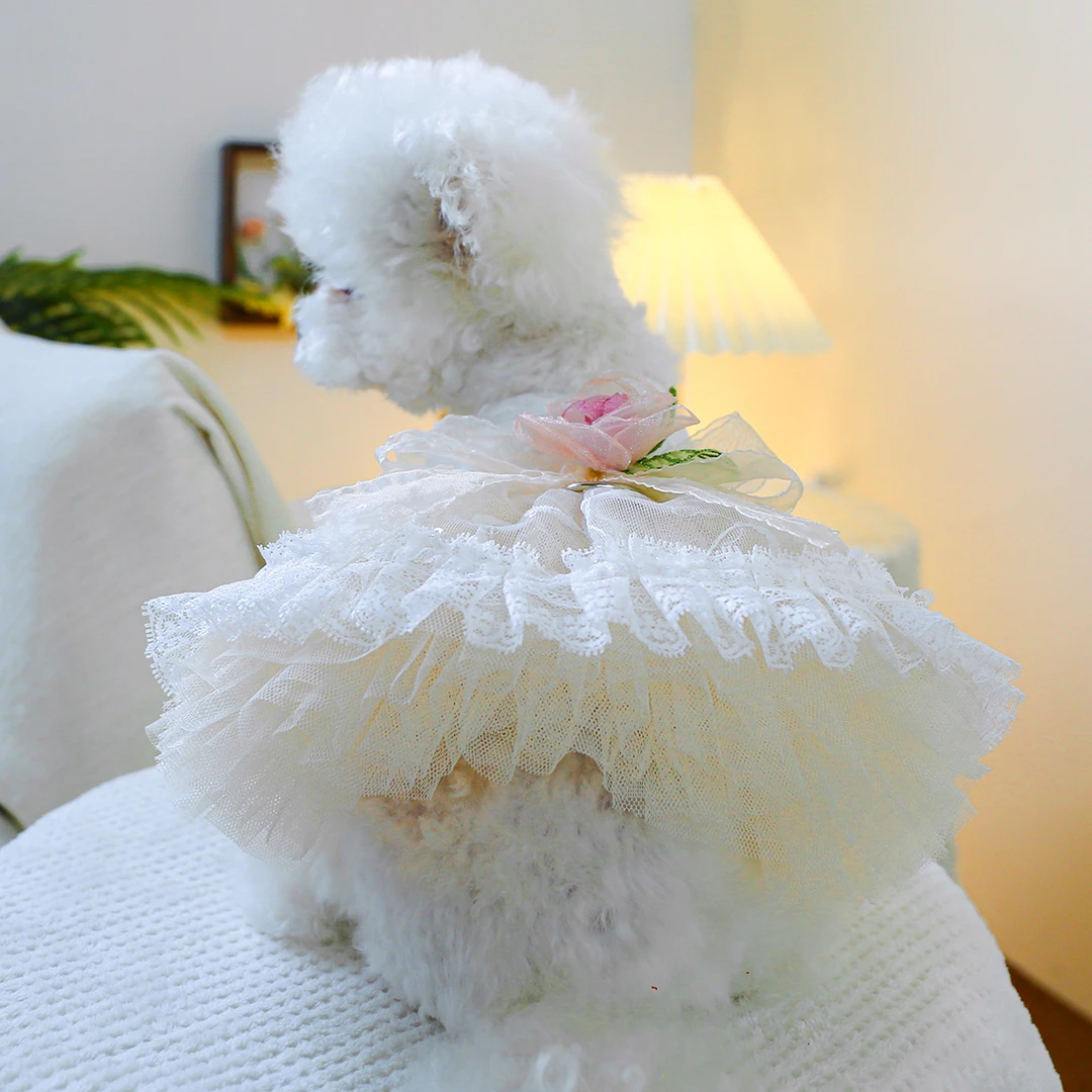 宠物狗狗衣服比熊博美泰迪春装复古花朵婚纱