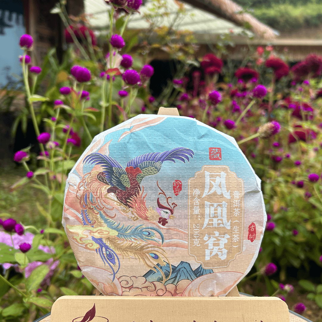 等福价：2021年 凤凰窝古树【私家珍藏】200克/饼（普洱茶区）
