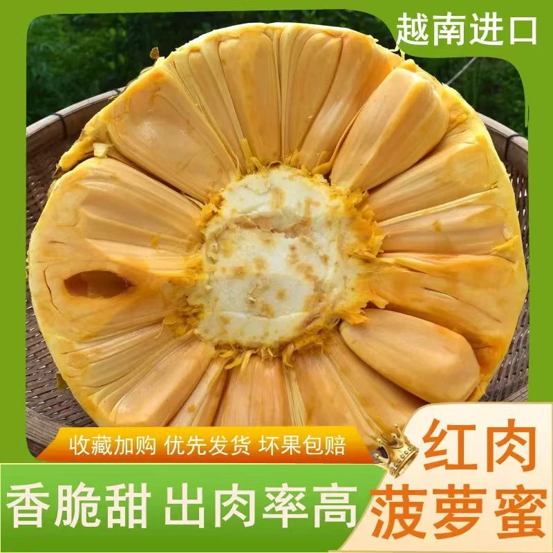 越南红肉菠萝蜜 干苞脆甜，坏果包赔8-10斤/10-12斤/12-14斤