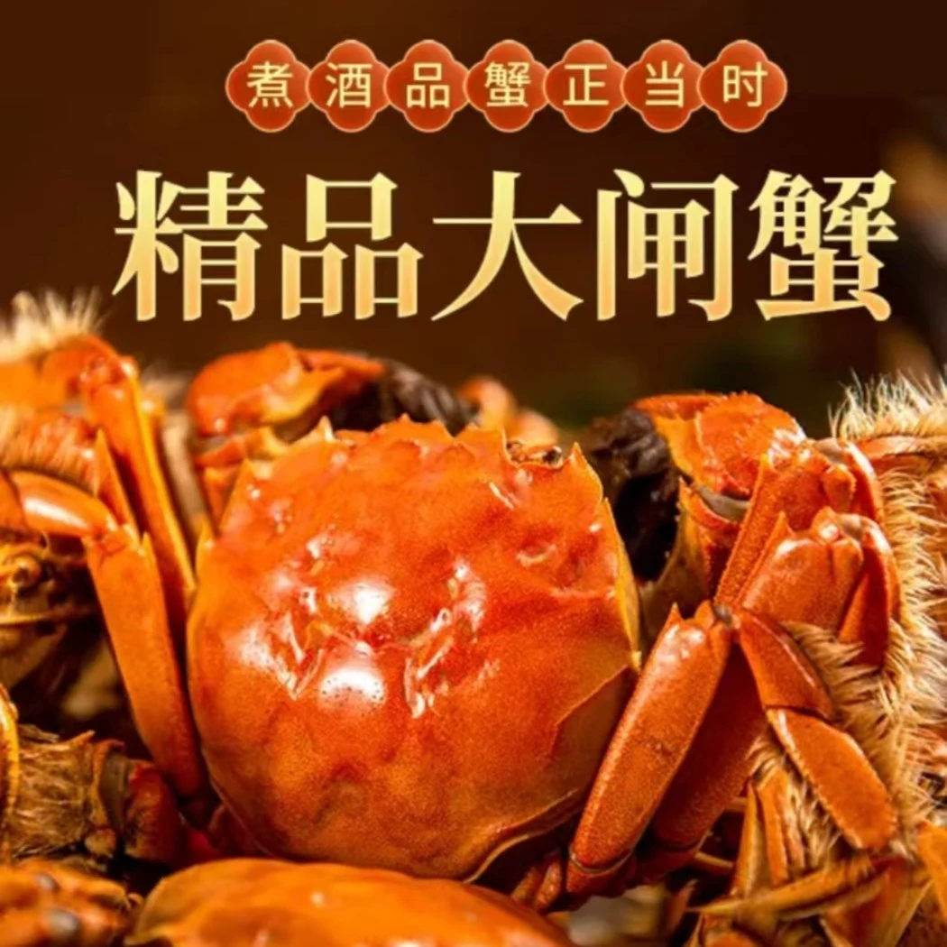 【活蟹现发】江苏大闸蟹全母蟹3.0两-2.8两5只-8只+送蟹醋