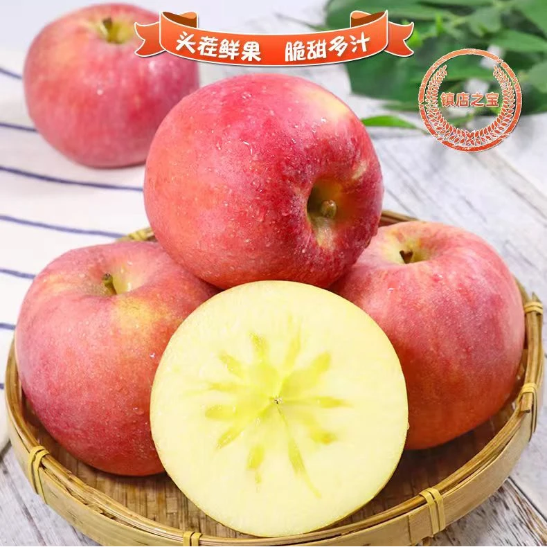 苹果5斤果园直发包邮