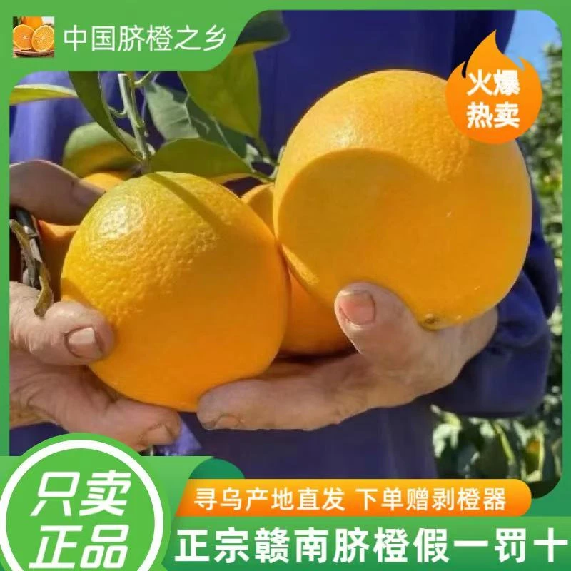 正宗江西赣南脐橙当季新鲜应季孕妇水果手剥橙子寻乌直发礼盒装