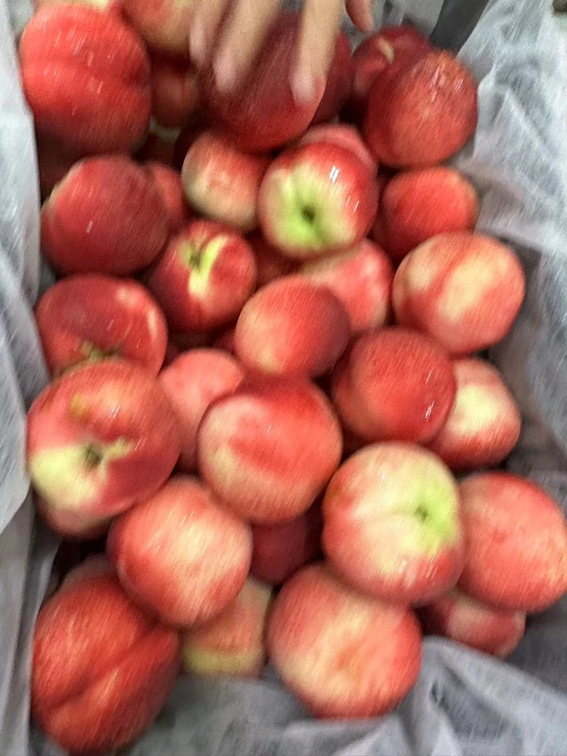 【六妈精选】树尖红珊瑚桃（限量）香甜多汁桃香浓郁1件3斤起 辽宁发