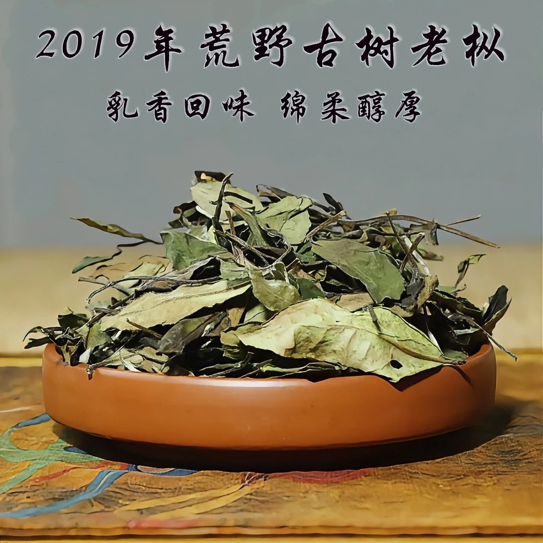 【云雾荒古】2019年深山老枞寿眉高山老白茶春季礼盒散茶喝茶泡茶