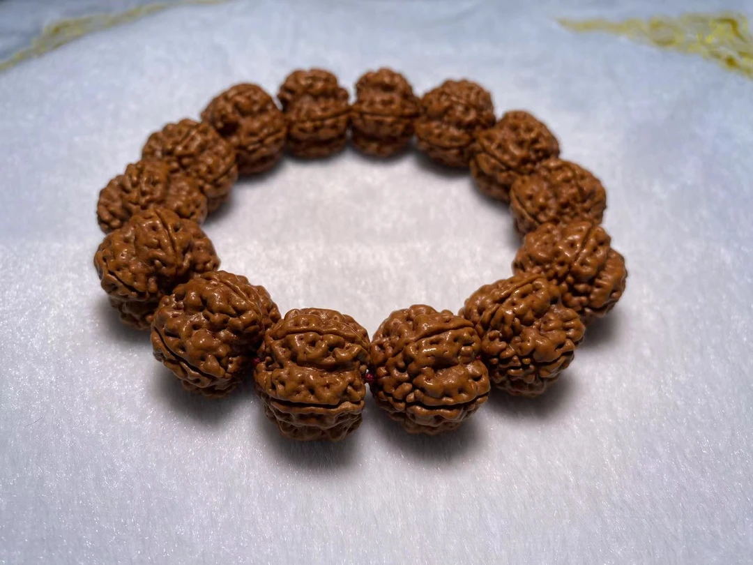 超头定制绝情帝王花