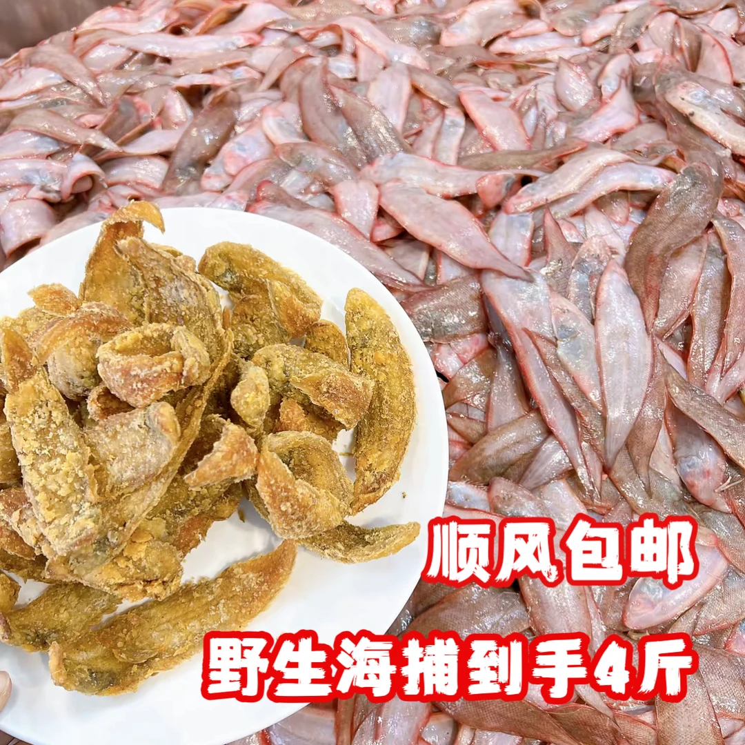 封板鱼 舌头鱼{鱼小介意勿拍}