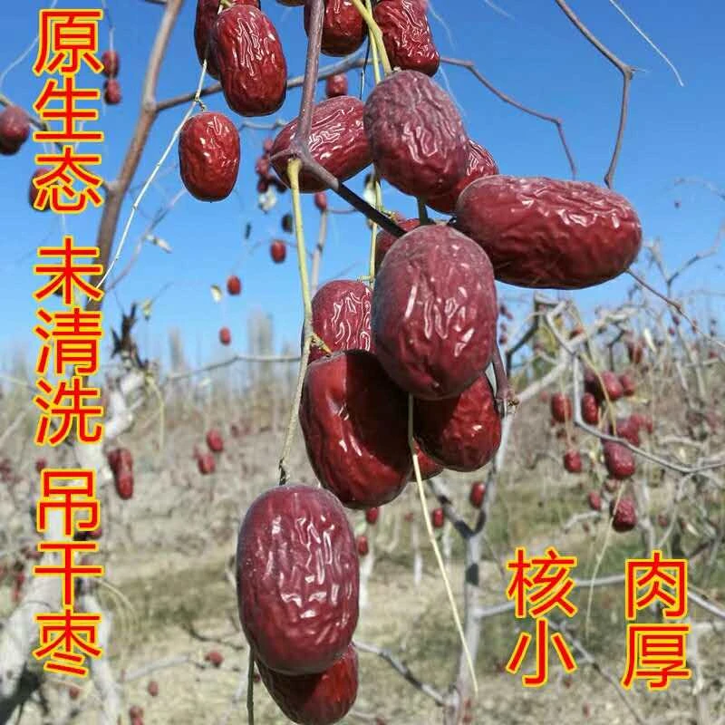 原生态红枣新疆灰枣24年新货新疆直发香甜软糯煮粥泡茶煲汤零食