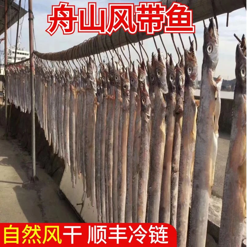 舟山特产风带鱼带鱼 小眼睛本地咸带鱼非干货S