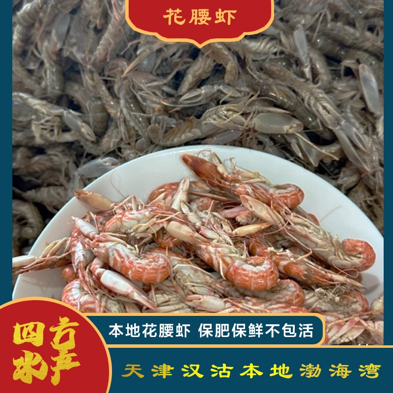 【花腰虾】本地纯野生花腰虾3斤（小虾品种，介意勿拍）