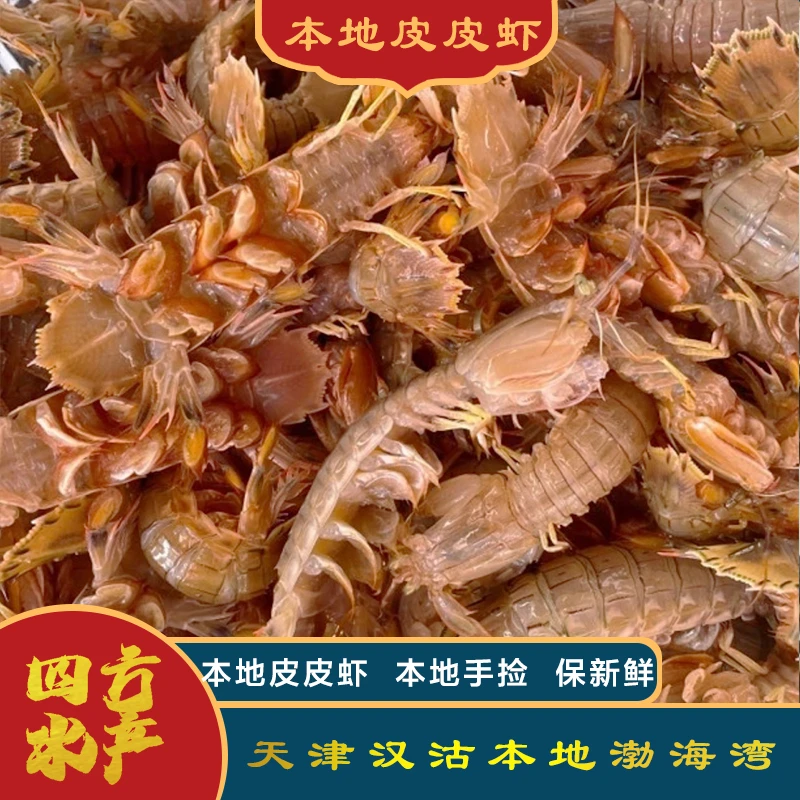 【皮皮虾】本地码头船捕皮皮虾(一斤16-17只左右)