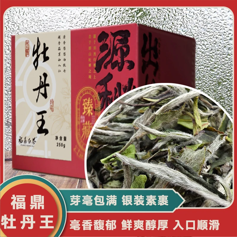 2024老树特级白牡丹福鼎白茶散茶核心产区点头镇料子自然生态茶园