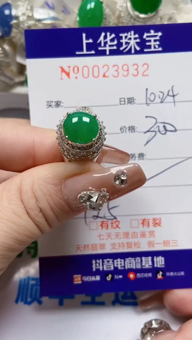 【闪购商品】翡翠颈饰未镶嵌/239320000