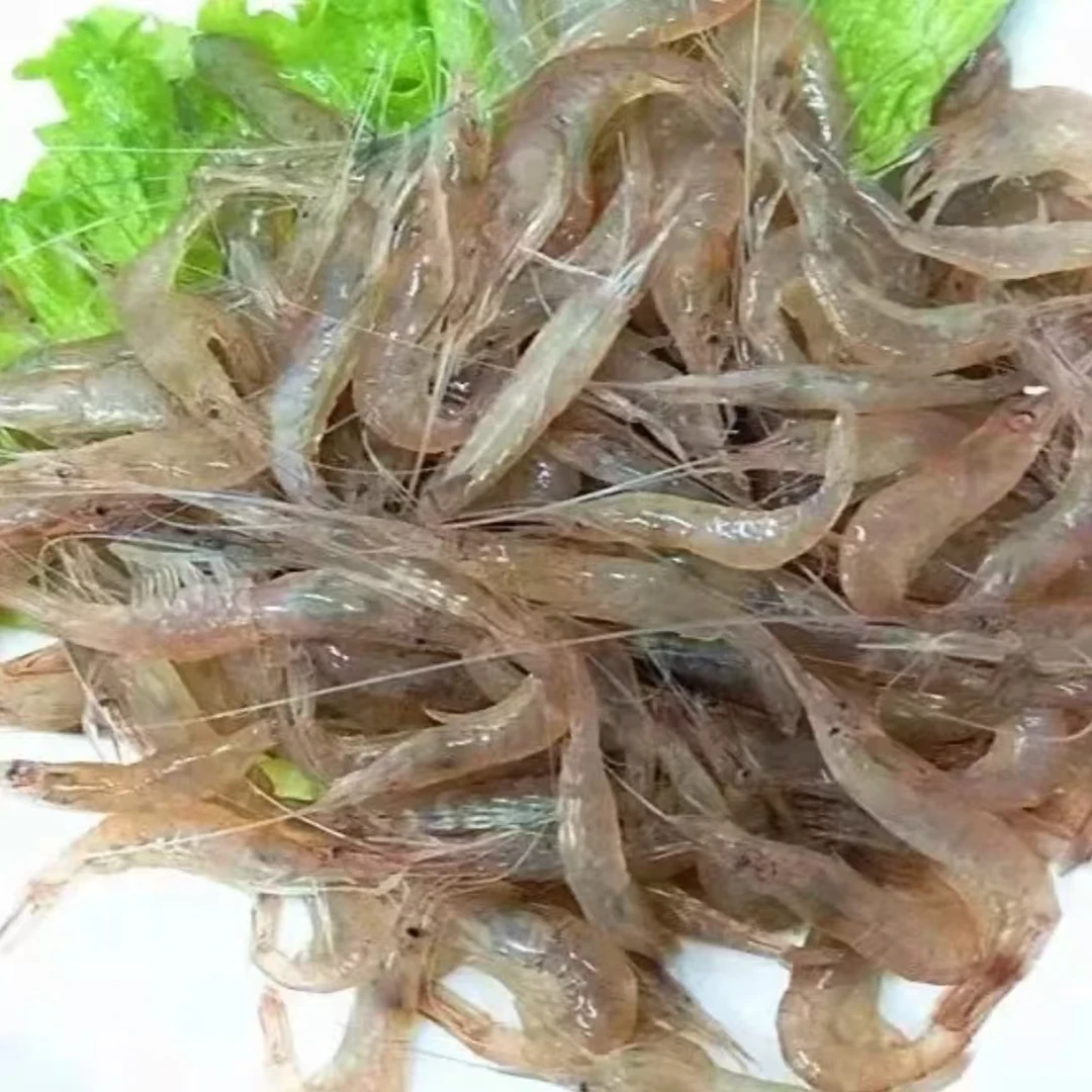 新鲜海捕小白虾 红毛虾小米虾250g/包 到手6包 顺丰冷链包邮