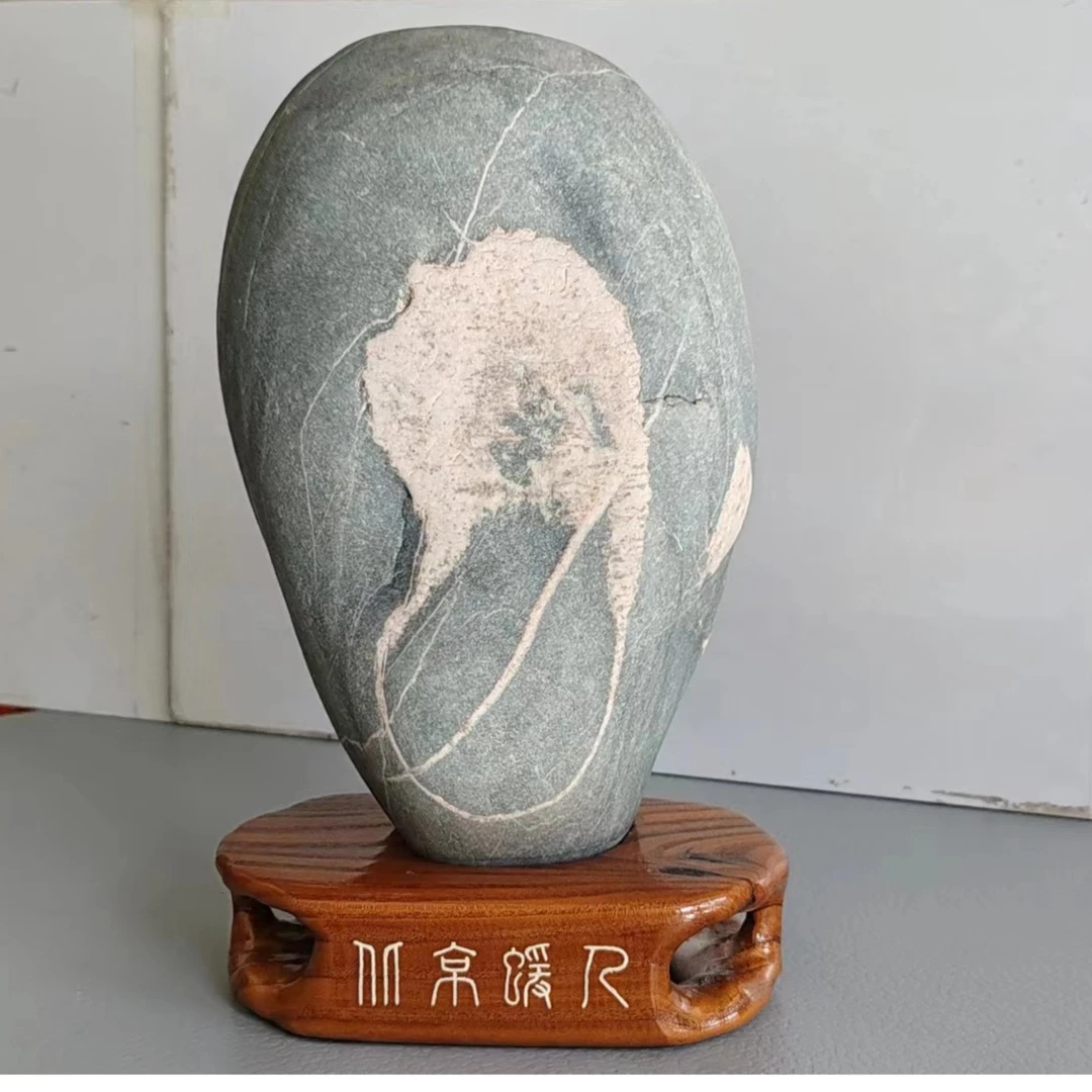 新疆奇石/阿克苏塔里木河奇石/文字石/奇石/原石/观赏石/矿物晶体