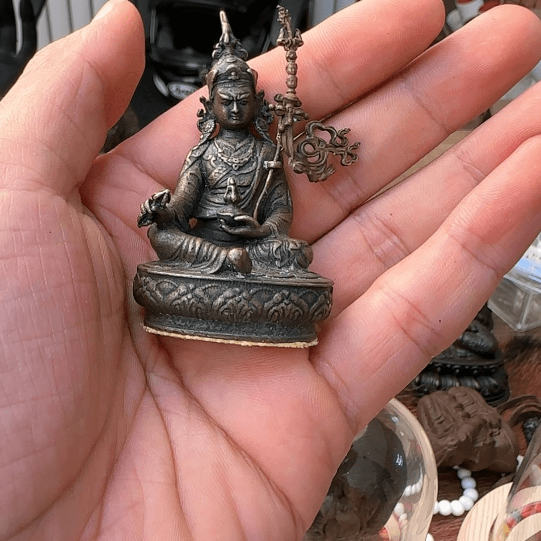 【闪购商品】Bbbvvvvgggggggggfg