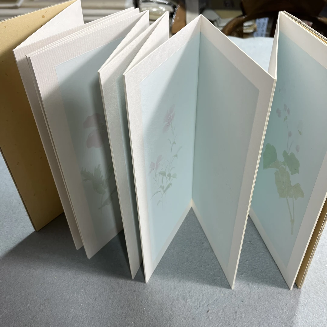问纸楼·兴文斋和庵花卡纸册页加厚