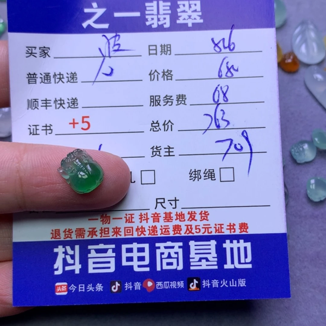 【闪购商品】翡翠颈饰未镶嵌B****波