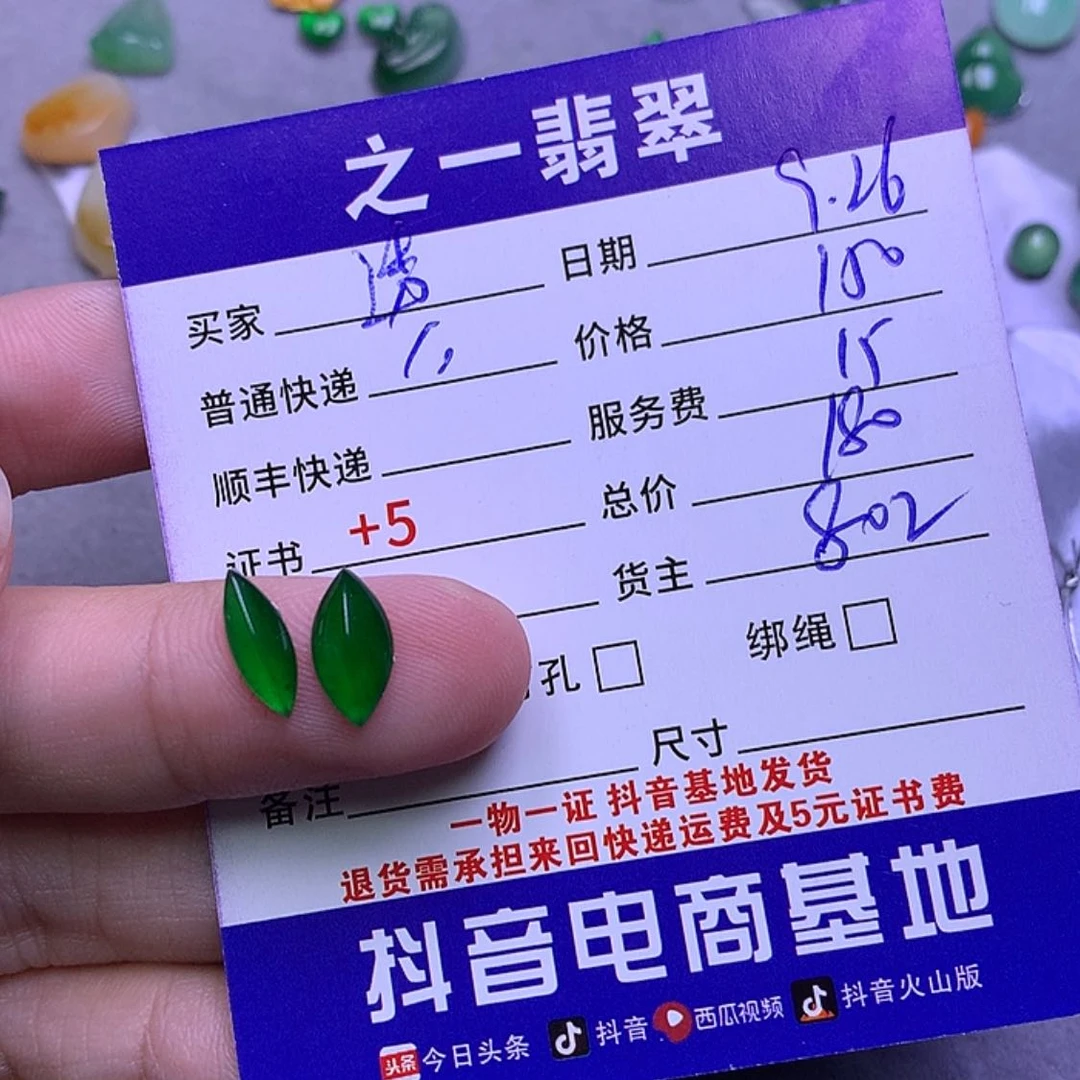 【闪购商品】翡翠颈饰未镶嵌透****具
