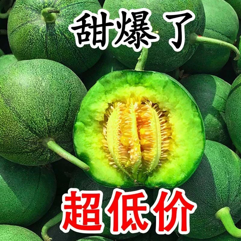 山东农家现摘现发头茬绿宝石甜瓜脆甜香瓜新鲜应季水果羊角蜜博洋