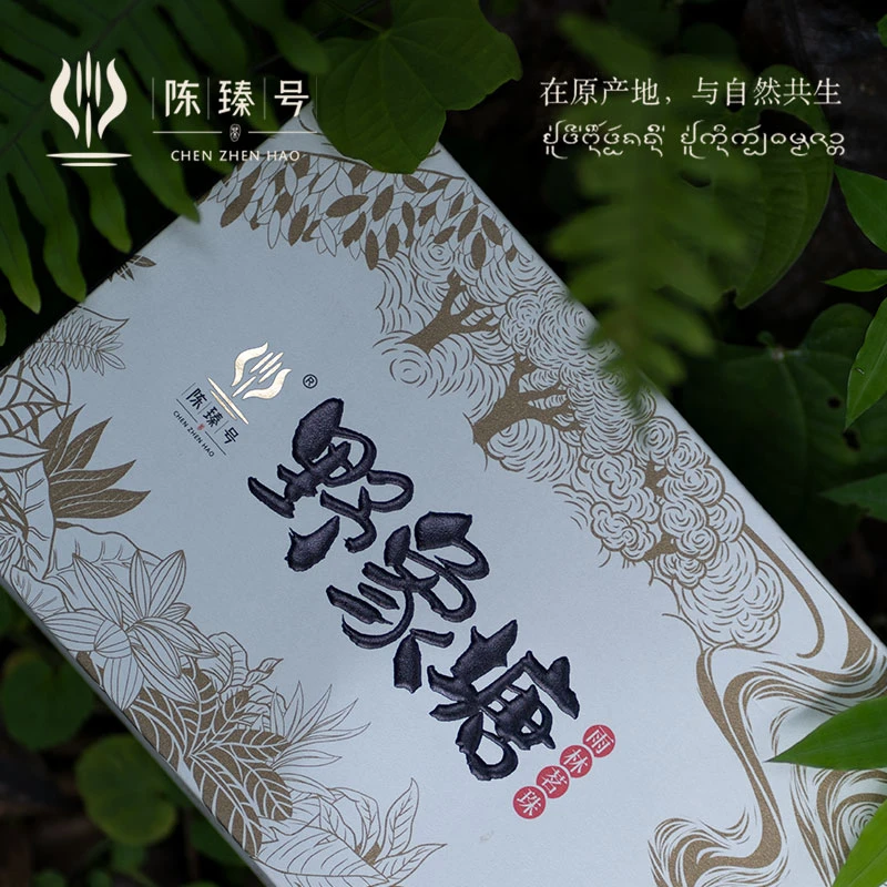 野象塘古树龙珠自有茶园便携装专属系列生产原产地